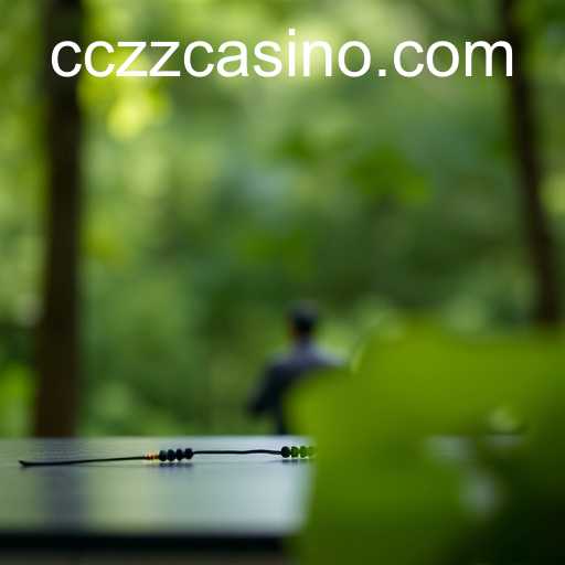 Understanding CCZZ: The Importance of User Agreements in the Digital Age